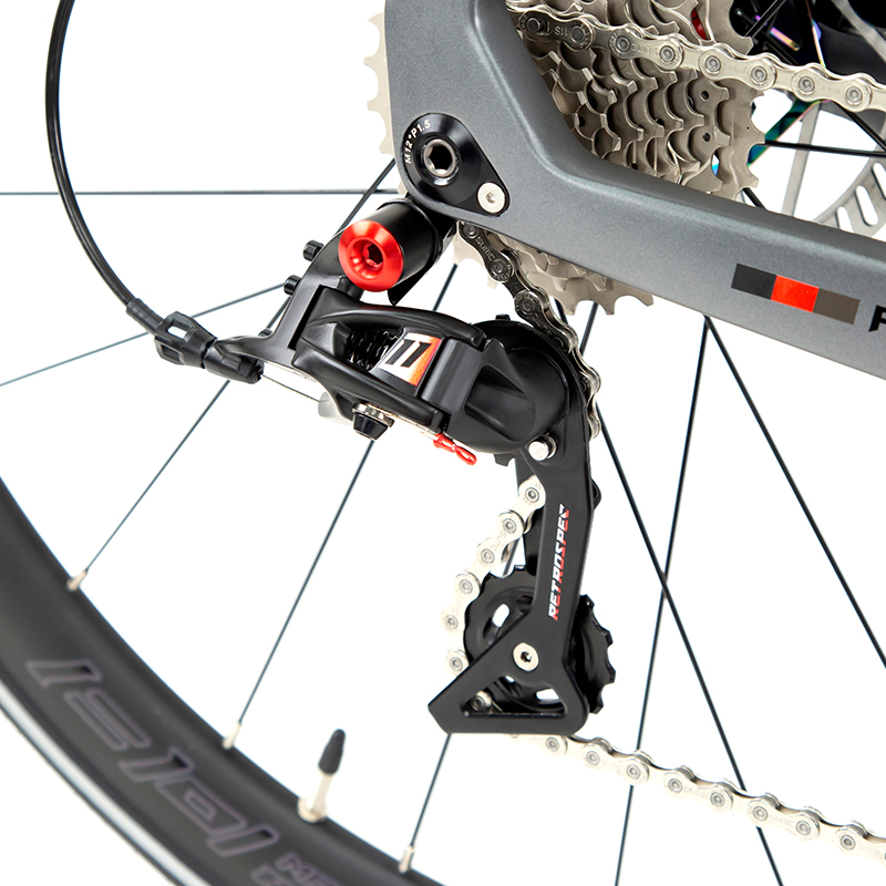 Carbon Fork